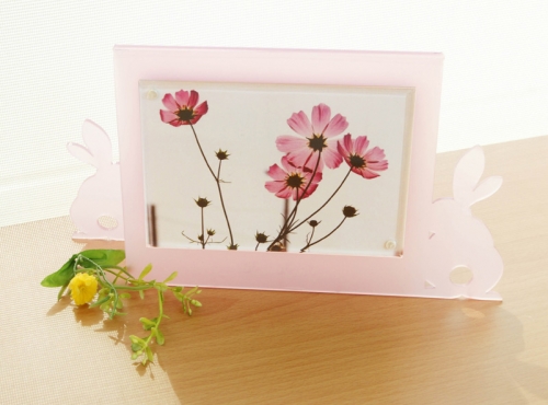 Rabbit Photoframe
